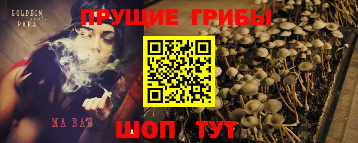 Ленинск-Кузнецкий  Псилоцибиновые грибы Psilocybe  цена   Вход с VPN 