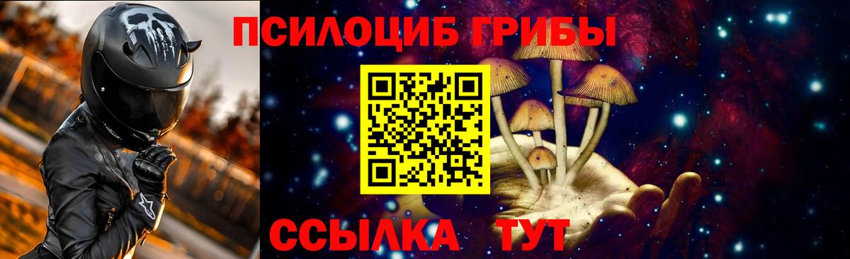 Псилоцибиновые грибы Cubensis Ленинск-Кузнецкий